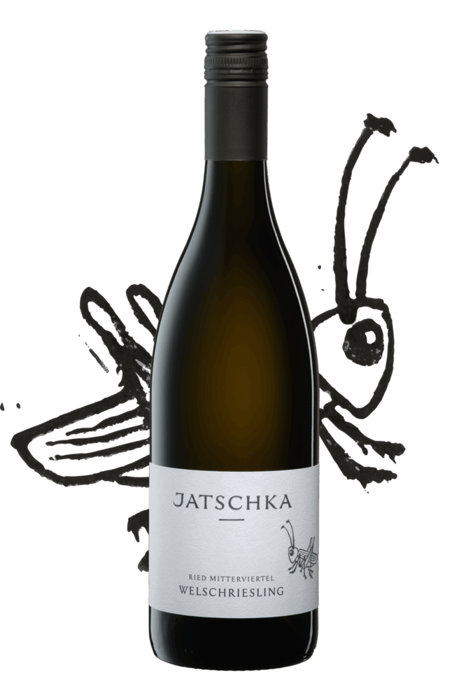 Welschriesling